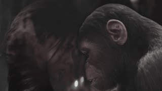 Mae x Noa → Hold On Manips x Vidu AI Kingdom of the Planet of the Apes MV [upl. by Acim34]