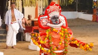 Theyyam  Calicut Karinkali Thira kakothi parambu Bagavathy Temple kozhikode [upl. by Suiluj]