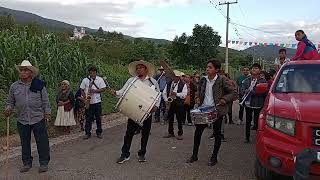 Tampico Hermoso Orquesta Jarillera de Buenavista San Agustín Tlacotepec 🎷🎵🎺🎵 [upl. by Idolla]