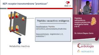 Péptidos natriuréticos nuestra protección endógena frente a la IC [upl. by Garth735]