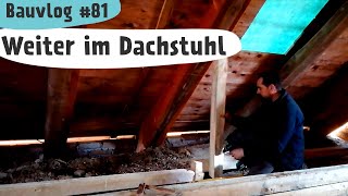 Drempel bauen  Fundament gießen  Brombeeren  Bauvlog 81 [upl. by Nylirem791]