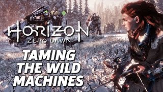 Horizon Zero Dawn™ CodeNexus solution [upl. by Esenaj]