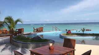 Filitheyo island 🏝 resort of Maldives 🇲🇻 sunset 🌅 and pool 🏊‍♂️ bar [upl. by Hartley]