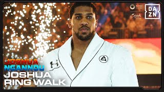 Anthony Joshua Ringwalks Are Unmatched 🔥 [upl. by Oivlis]