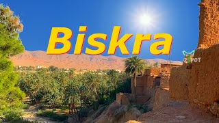 Biskra  la Porte du Désert Algérien  Voyage Vidéo [upl. by Modnar]