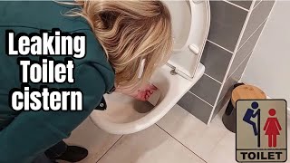 Leaking toilet I show two ways to repair  toilet repair leaking plumbing asmr diy [upl. by Ettenaej478]