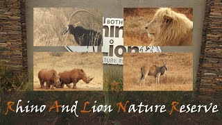 Bothongo Rhino amp Lion Nature Reserve Wildlife Video  Animals amp Birds  Stories Of The Kruger [upl. by Oiceladni558]