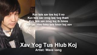 Xav Yog Tus Hlub Koj  Wave Vang  TLW  2014 [upl. by Dallman]