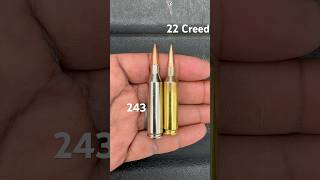 22 Creedmoor Crushes 243 Winchester hunting shorts 2a [upl. by Htidirem]