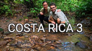 Behind the scenes  herping Costa Rica 3 venomous snakes wild bushmaster montane pit vipers [upl. by Beare]