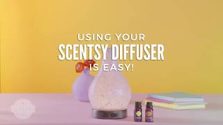 How to Set Up a Reed Diffuser [upl. by Coh804]