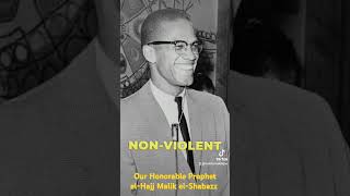 Our Honorable Prophet elHajj Malik elShabazz noreparationsnovote justiceforrogerfortson [upl. by Aicetel]