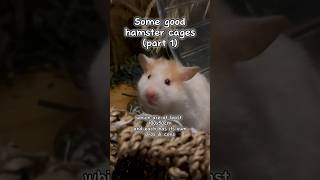 Basic Hamster Care Some good hamster cages  part 1 [upl. by Cameron]