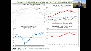 Backgrounding Cattle 2023 Market outlook  What to Expect and Price Protection [upl. by Aidnahs]