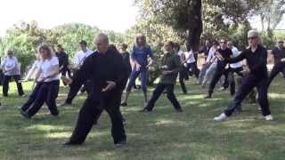 CORSI GRATUITI DI TAI CHI E QI GONG A ROMA villa Celimontana by Luisa IV [upl. by Suzzy84]