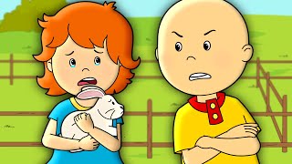 Caillous Bunny  Caillou Cartoon [upl. by Pliske401]