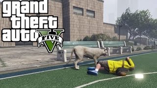 Le damos al peyote en GTA V y nos convertimos en 5 animales [upl. by Atsyrc636]