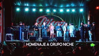 MIX NICHE EL MEJOR HOMENAJE SALSA LATINA EN VIVO ORQUESTA LA GRANDE 2019 [upl. by Gerge949]