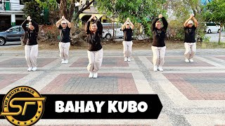 BAHAY KUBO  Dj Joecel Remix   Bini  Dance Trends  Dance Fitness  Zumba [upl. by Vitale246]