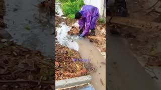 Satisfying Drainage Clearing Lots Of Debris shortvideo viral shorts viralvideo video short [upl. by Eniamert]