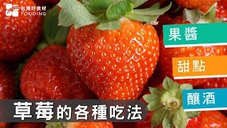 【草莓季】草莓的各種吃法～甜點、餅乾、果醬、釀酒都可以！香氣濃郁～酸甜好滋味 台灣好食材 Fooding [upl. by Auqenahs]