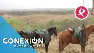 Caballistas extremeños abren el camino hacia Guadalupe desde Torrejoncillo  Conexión Extremadura [upl. by Seppala412]