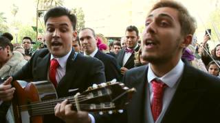 Carnavalero canta pasodoble en la boda de su hermana [upl. by Bethena]