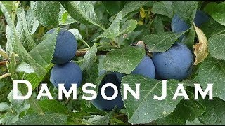 Damson Jam [upl. by Endys]