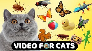 CAT GAMES 📺 Ultimate CAT TV Compilation Vol 1🐠😻🦂 🐝🐞🦋🦎🦜🐜🐭Ball Toys String LIZARDS Flies🧵 3 HOURS [upl. by Doroteya]