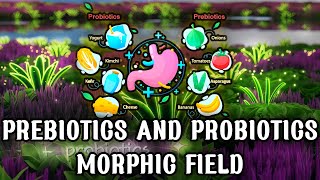 Prebiotics and Probiotics Morphic Field – Ultimate Gut Flora Optimization [upl. by Onirefes443]