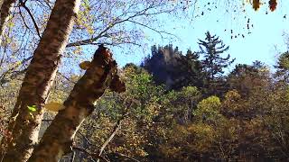 Ussuri taiga Sikhote  Alin Walk Mysteries of the mountain 9 tourists and lakes Riddle October 5 24 [upl. by Birk861]