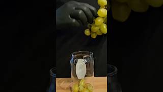 Green grapes Mojito easyrecipe mojito shorts asmr [upl. by Ihsoyim]