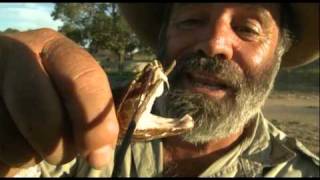 Rob Bredl  Mexican Moccasin Snake [upl. by Fernyak677]