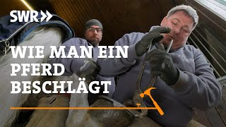 Wie man ein Pferd beschlägt  SWR Handwerkskunst [upl. by Nohtiek349]