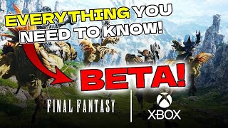 EVERYTHING you need to know about the FFXIV Xbox Beta [upl. by Eyaf]