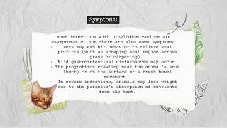 Disease Dipylidium caninum [upl. by Buderus]