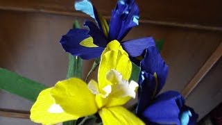 How to make Paper flowers Iris Flower  8 [upl. by Niki754]