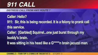 Crazy Killer Squirrel Attack 911 Call [upl. by Edea]