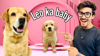 Leo Ka Baby  Papa Ban Gaya Leo  Anant Rastogi [upl. by Hild]