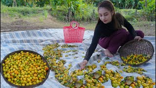 Fresh jujube in my countryside and cook food recipe  Polin lifestyle [upl. by Morganica239]