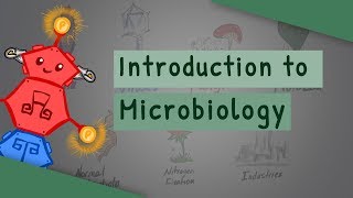 Introduction To Microbiology [upl. by Zul61]