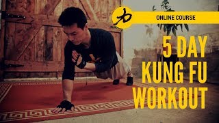 Shaolin Kung Fu  5 Day Workout Programme  Intro [upl. by Ethelda]