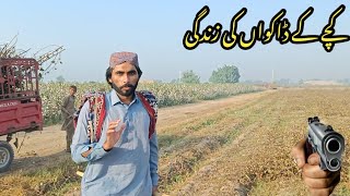 Kacha Dako Daliy Life Work  Kachy K Daku  Kacha Daku Viral Video [upl. by Eerdna3]