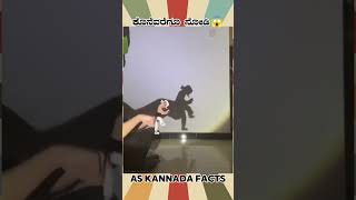 Shadow Artist Fact Video  kannada facts karnataka amazing youtubeshorts trendingshorts [upl. by Lectra273]