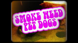 Baldhead and the Dreads  Smoke Weed Pet Dogs Lyric Video [upl. by Leirad]