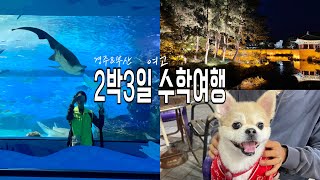 일상 Vlog  여고 수학여행 인솔자시점경주amp부산🚌  애견동반 🍤대하맛집  운전에 재미들림🤣결혼준비헬스 [upl. by Lovering]