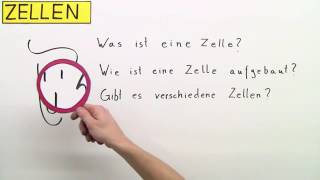 ZELLEN  DIE GRUNDBAUSTEINE VON PFLANZE MENSCH UND TIER  Biologie  Biologie der Zellen [upl. by Chicoine]