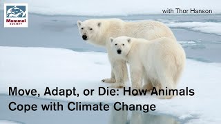 Move Adapt or Die How Animals Cope with Climate Change [upl. by Anelav]