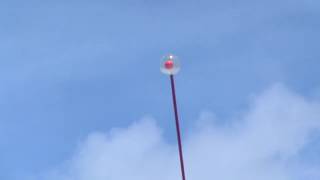 Len Lye sculpture  Wind Wand  Gibbs Farm NZ [upl. by Rexana]