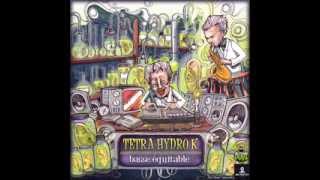 Tetra Hydro K  Dnb Happy feat Soom T  Basse Equitable 2013 [upl. by Enelloc]